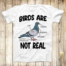 Pigeon birds real for sale  LONDON