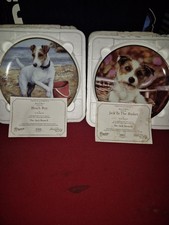 Jack russell terriers for sale  MIDDLESBROUGH