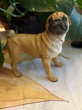 male female pugs for sale male female pugs for sale Clayton