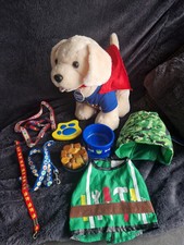 brown labrador puppy for sale  DERBY