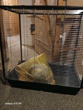 vogelvoliere voliere vogelkafig kafig gebraucht kaufen vogelvoliere voliere vogelkafig kafig gebraucht kaufen Obertshausen