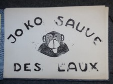 Joko sauvé eaux d'occasion  Seyssel