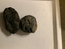 Space rock tectite d'occasion  Expédié en Belgium