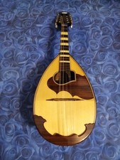 Mandolino tedesco vogtlandespe usato  Avezzano