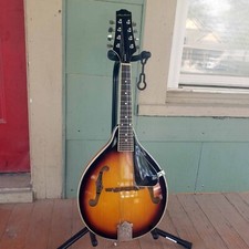Archer telluride mandolin for sale  Wichita