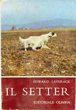 Libro setter caccia usato  Sarzana
