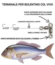 Terminale bolentino col usato  Torricella