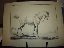 Gravure cheval duplessis d'occasion  Lunéville