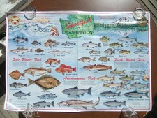 Vntg sportfish state for sale  Wapato