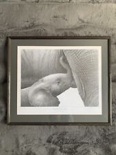 Gary hodges limited for sale  BRIGHTON