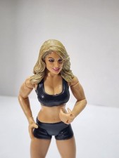 2005 wwf wwe for sale  Port Clinton