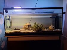 Fish tank full for sale  BASINGSTOKE