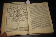 1564 giovanni boccaccio usato  Roma