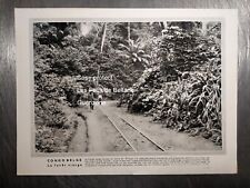 Congo belge ferrée d'occasion  Beaumont-de-Lomagne