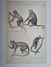 Antiker druck 1870 gebraucht kaufen  Versand nach Germany