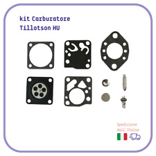Kit membrana carburatore usato  Altavilla Silentina