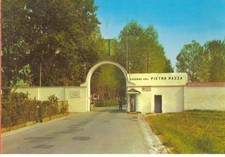 1985 casale monferrato usato  Montebelluna