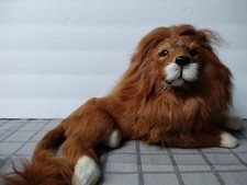 Vintage antique taxidermy for sale  Monongahela