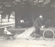 Bicycle trailer wagon for sale  Greenwich