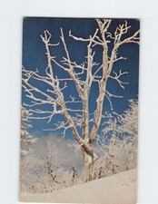 Postcard typical winter for sale  Stevens Point