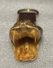 Rattlesnake head keychain for sale  Fenton