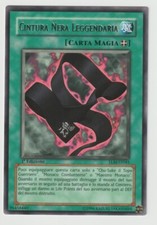 Cintura nera leggendaria usato  Formigine