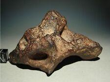 Meteorit eisen mundrabilla gebraucht kaufen  Laupheim