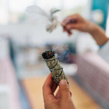 220 smudging sage for sale  Saint Augustine