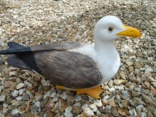 Life size seagull for sale  TORQUAY