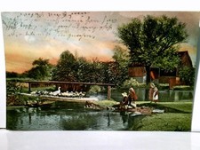 Kinder teich beobachten gebraucht kaufen Kinder teich beobachten gebraucht kaufen  Aarbergen