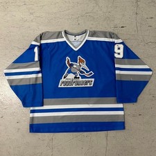 Vintage phoenix roadrunners for sale  Glendale