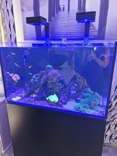Red sea 300 for sale  STOKE-ON-TRENT