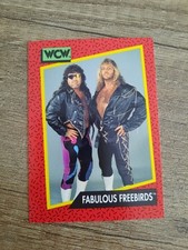 Wcw wrestling 1991 gebraucht kaufen  Düsseldorf
