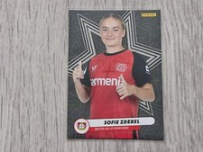 Panini google pixel gebraucht kaufen  Lünen