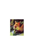 Maui vegetarian hana for sale  USA