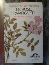 Rose rampicanti graham usato  Vertemate con Minoprio
