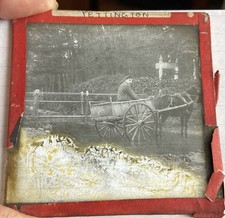 antique man trap for sale  CRANBROOK