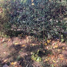 Coconut shy stands for sale  MALVERN