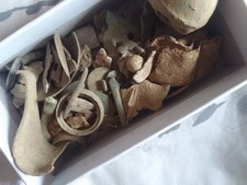 Metal detecting finds for sale  LEICESTER