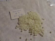 Lot 300 perle d'occasion  Clermont-Ferrand-