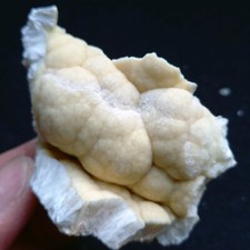 223 rara insolita usato  Italia