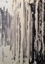 Carlo tecniche miste usato  Milano
