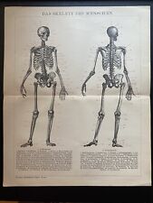 Antike grafik medizin gebraucht kaufen  Berlin
