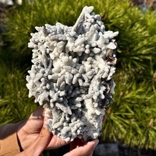 5.3lb natural soft for sale  Dayton