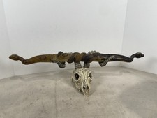 Knife display snakes for sale  San Tan Valley