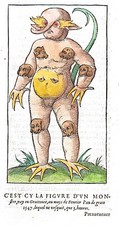 Używany, POLAND MONSTER OF KRAKOW "C'est cy la figure d'un Monstre" 1575 F. Belleforest na sprzedaż  Wysyłka do Poland