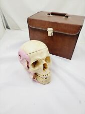 Vintage somso anatomical for sale  Las Vegas