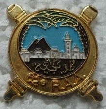 Pin militaire regiment d'occasion  Changé