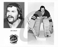 Wha winnipeg jets d'occasion  Expédié en Belgium