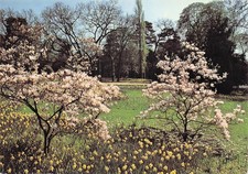 Paris parc bagatelle d'occasion  France